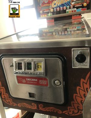 Zaccaria Pool Champion (Refurbished) - Image 5