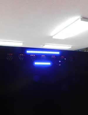 1985 Williams Sorcerer(Refurbished) - Image 25