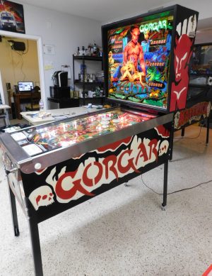 1979 Williams Gorgar (Refurbished) - Image 19