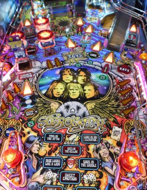 Aerosmith Pro (Refurbished) - Image 13
